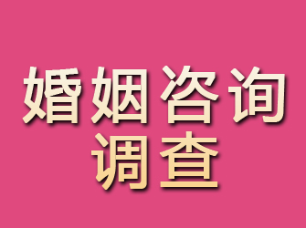 靖安婚姻咨询调查