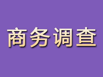 靖安商务调查